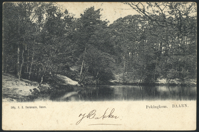 16947 Gezicht op de vijver De Pekingkom te Baarn.